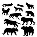 A set of silhouettes of predatory animals isolated